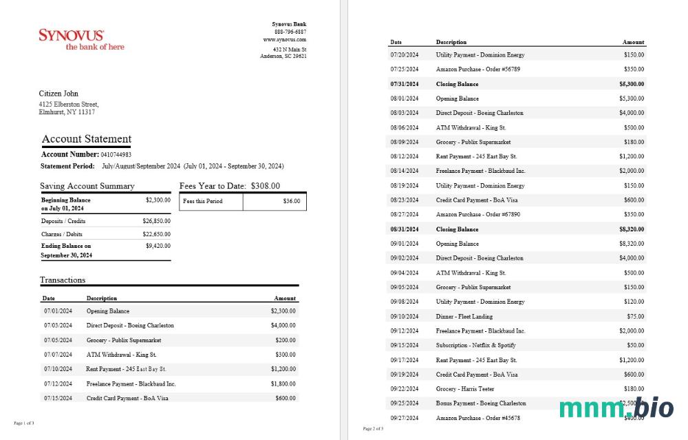 USA Synovus Bank statement szablon Worda i PDF, 3 stronas 2